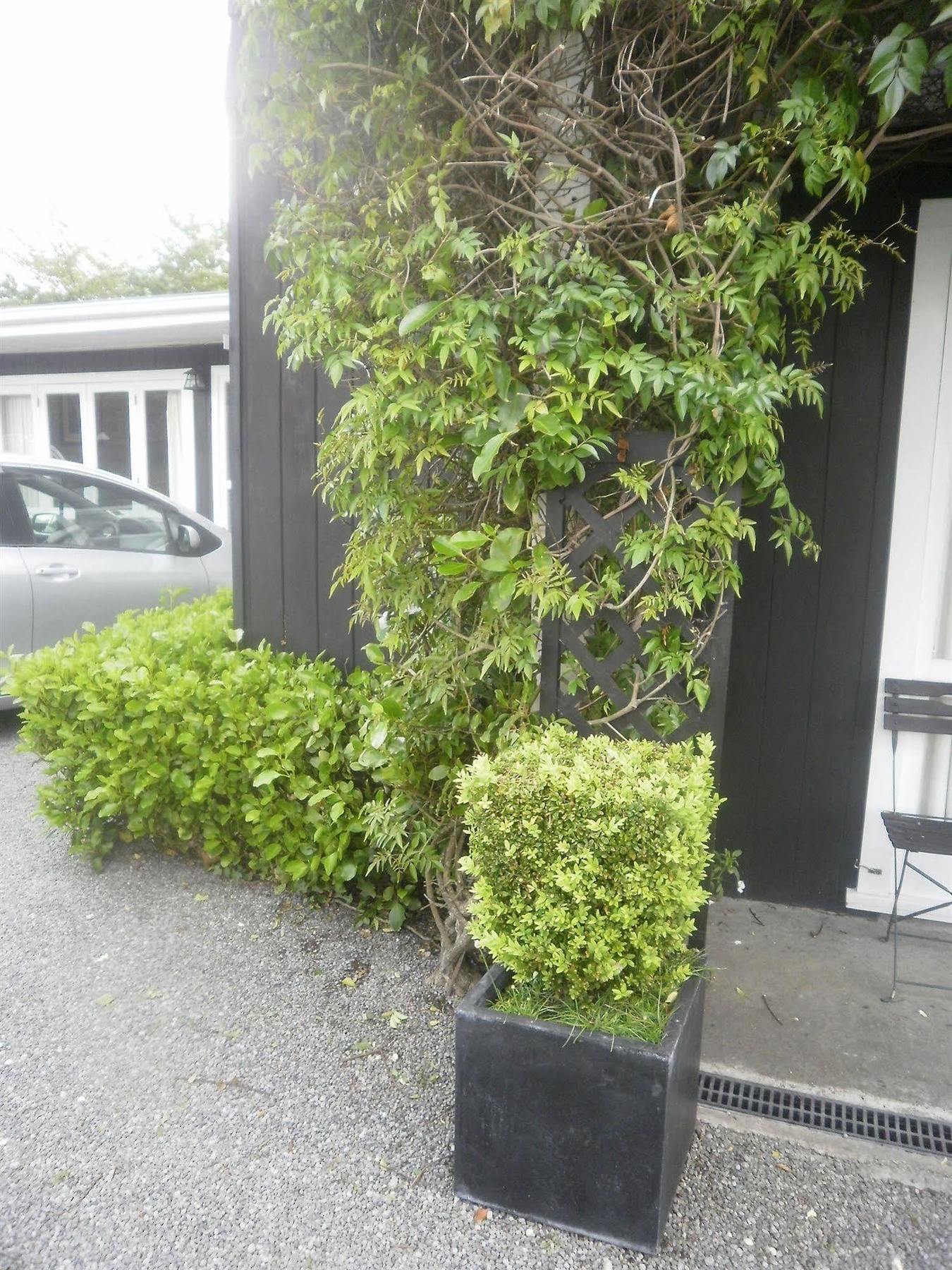 The Lake Motel Lago Lago Taupo Exterior foto